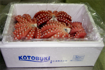 glay-s1top.jpg