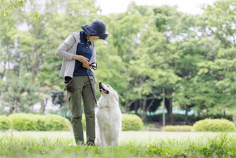 glay-s1top.jpg