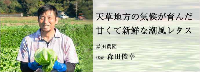 天草地方の気候が育んだ　甘くて新鮮な潮風レタス
森田農園 代表 森田俊幸