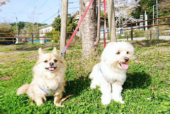 glay-s1top.jpg