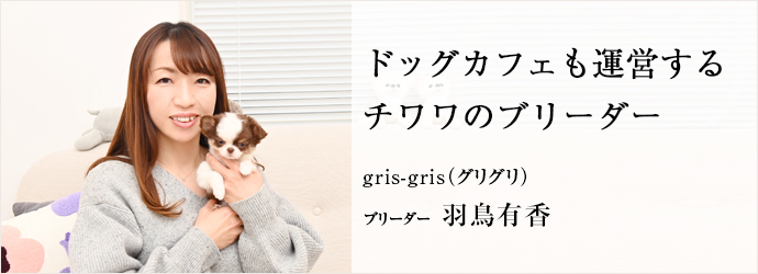 ドッグカフェも運営する　チワワのブリーダー
gris-gris（グリグリ） ブリーダー 羽鳥有香