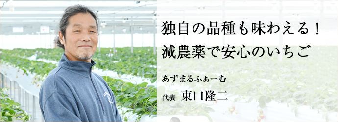 独自の品種も味わえる！　減農薬で安心のいちご
あずまるふぁーむ 代表 東口隆二